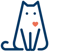 gato con corazon